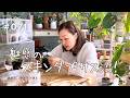 【どっぷり沼】スキンダプサスの沼は深い（Vlog/071）