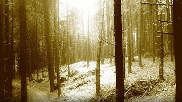 GRAVEYHARD - Pathbuilder (official video)