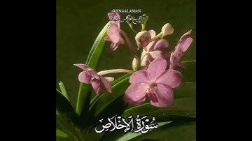 سورة الإخلاص | الشيخ فارس عباد،استغفر الله العظيم واتوب اليه، تلاوه خاشعه