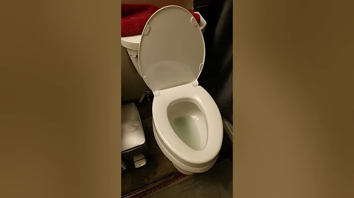 KOHLER 25875 0 Hyten Elevated Quiet Close Elongated Toilet Seat, Conto