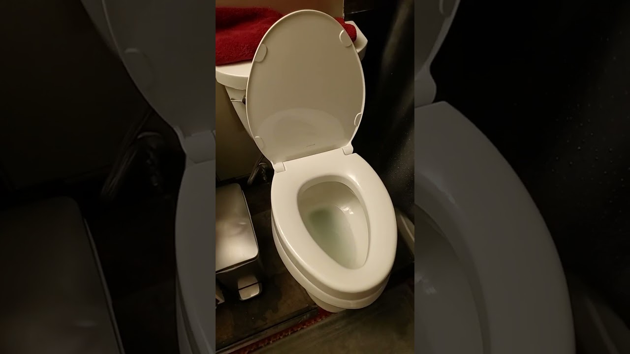 KOHLER 25875 0 Hyten Elevated Quiet Close Elongated Toilet Seat, Conto