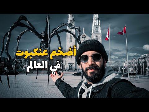 أجمل الأماكن الموجودة في أوتاوا   