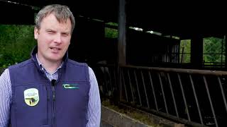 Achieving better weight gain - Martin Connolly - Teagasc Green Acres Farmer Participant