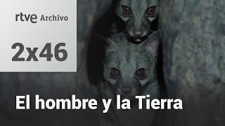 El hombre y la tierra: Capítulo 64 - La bella matadora | RTVE Archivo