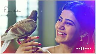  Kabutari Bole Kabutar Se  Hindi Romantic Love Song  New Whatsapp Status  2022