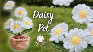 Quick & Easy Crochet Daisy Pot | Step-by-Step Tutorial