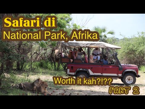 Video: 15 Haiwan Safari Teratas di Afrika dan Tempat Menemuinya