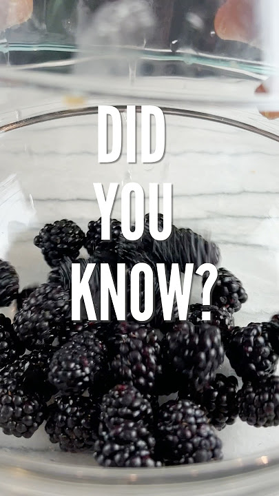 Health Benefits of Blackberries