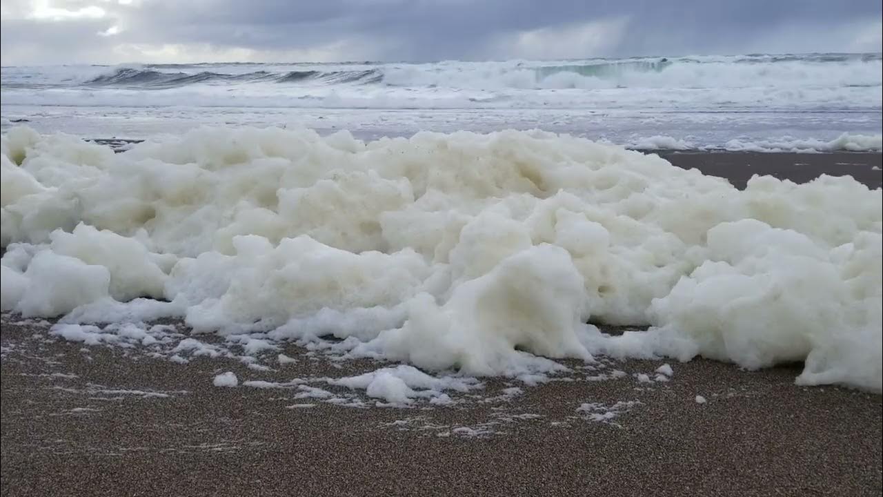 The Basics and the Weird About Oregon Coast Sea Foam