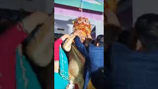 sehra bandh ke aaunga #sehra #saadi #shaadi #vivah #marriage #marriagevideo #shortsfeed #shorts