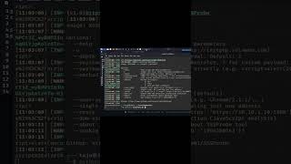 Famous XSSProbe Tool 🔥 Python XSS Scanner DOM XSS Detection Bug Bounty & Pentesting part 4 Wealth
