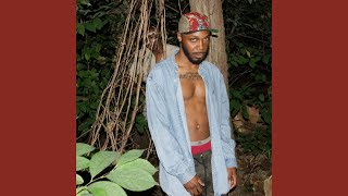 JPEGMAFIA - Show (feat. Lawna Dell Rae)/Police & Niggaz w/ Interlude (slowed + reverb)