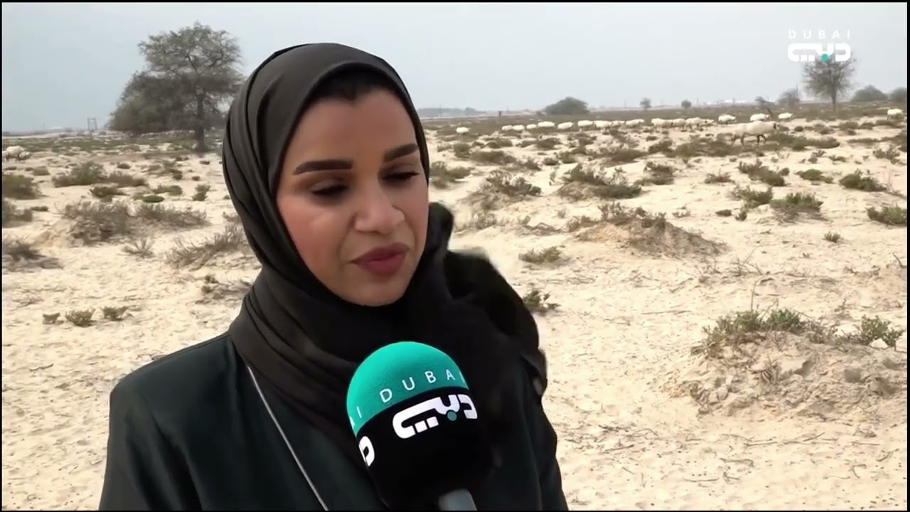 تقرير تلفزيون دبي عن تسمية "محمية محمد بن زايد الطبيعية" يأتي تجسيدا للتقدير الخليجي لدولة الإمارات