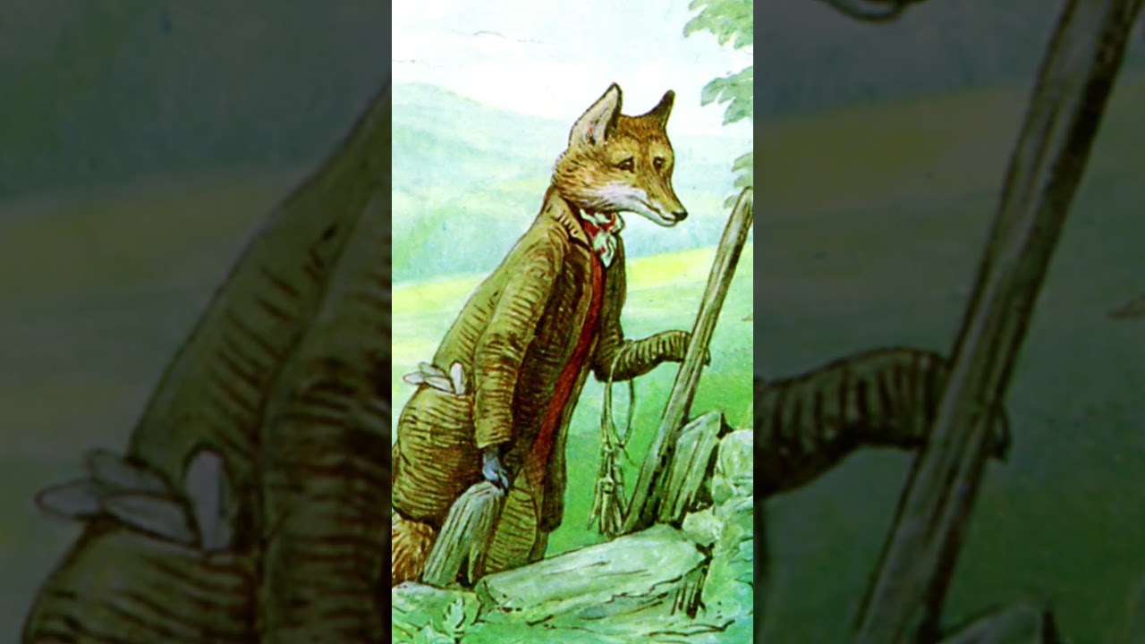 peter rabbit   🎥   fans🫶🫶