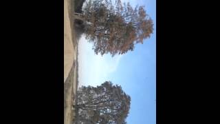 CAM00074