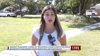 Mount Pleasant looking at relaxing leash laws for dogs