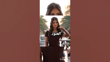 رون مشعل وهيا الجزاء الخامس 