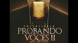 Video Probando Voces 2 Cosculluela