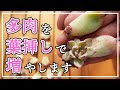 【多肉植物】多肉の葉挿しの仕方😆