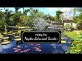 Botanical Gardens Events Florida