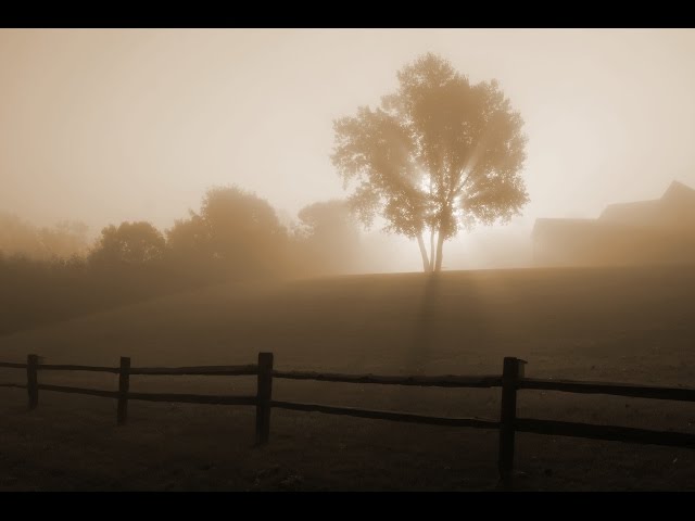 Aquascape - Sunrise In Fog
