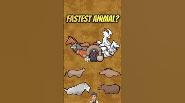 The Fastest Animal in RimWorld (It’s Not What You Think)