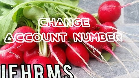 IFHRMS -  Change Account Number | Bank Details |  IFSC code