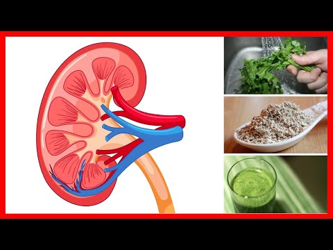 10 Ways to Cleanse Your Kidneys, Liver and Lungs Quickly with Natural Medicine