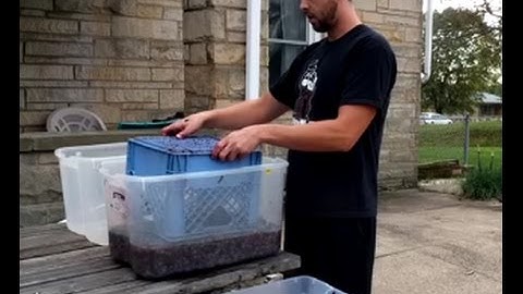 Homemade Crusher Destemmer for Grapes (Very Easy!)  Home Winemaking