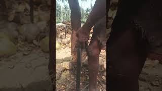 Thenpatta Coconut Jaipur Ka Mal