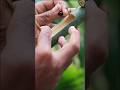 Creative Bamboo Slingshot #bamboo #craft #diy #toys