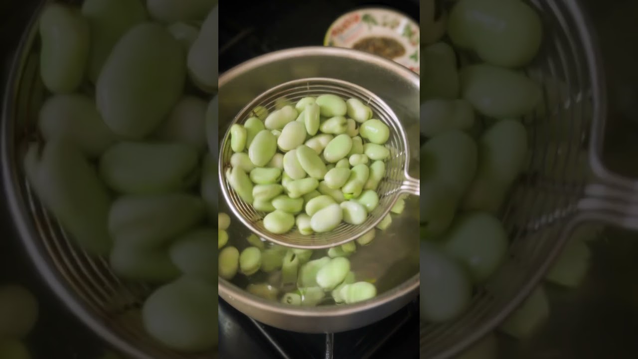 Fava Bean Salad with 