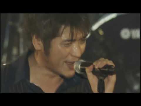 081  ONLY YOU