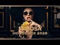 Mimosa Brunch Morning Deep House Mix 2026 Accordion Loops For Sun Drenched Parisian Terrace 
