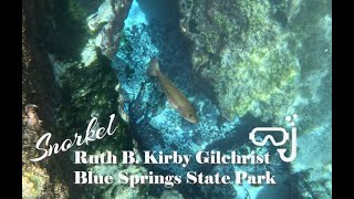 Snorkel Ruth B. Kirby Gilchrist Blue Springs State Park 2025