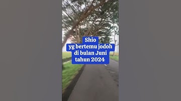 Shio yang bertemu jodoh di bulan Juni 2024⁉️#shorts