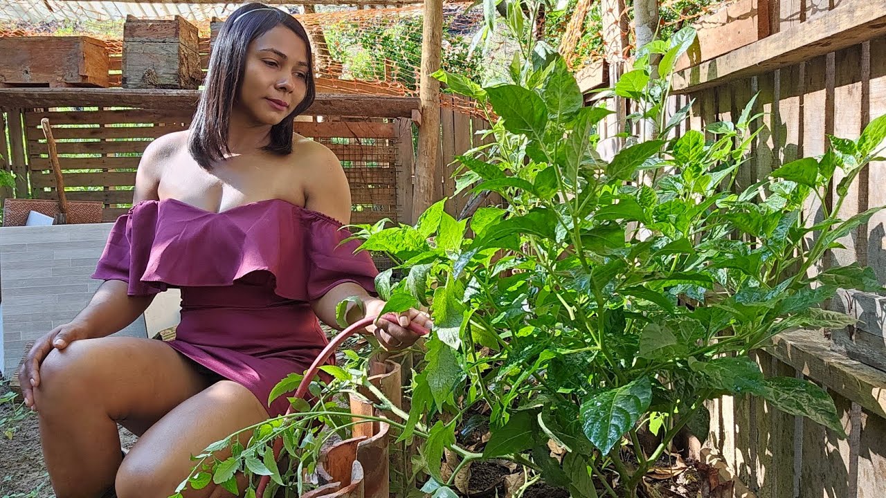 A simplicidade de uma jovem mulher do  campo, entre animais e plantas no fim do mundo. 