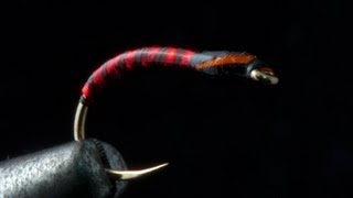 How to tie a Stripped Quill Super Glue Buzzer from Fishtec