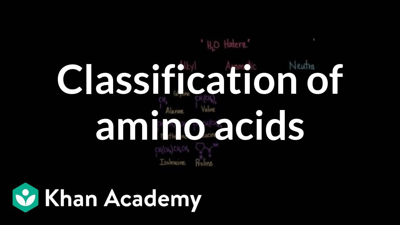Classification Of Amino Acids Video Khan Academy