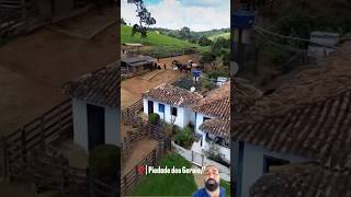 #gado #fazenda #antigasjogatinas #pecuarista #agro #mercadoagricola #roça #pecuaria #vidanocampo