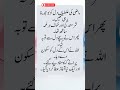 Allah Gave Peace to His Heart | Islamic Reminder