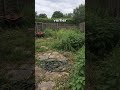 Ich dachte die Nachbarn lachen über unseren Garten – Gardly App