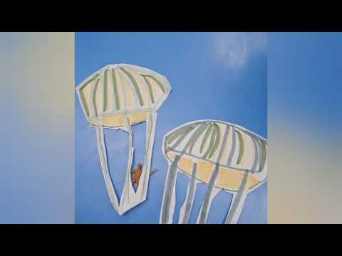 שירו של צנחן 