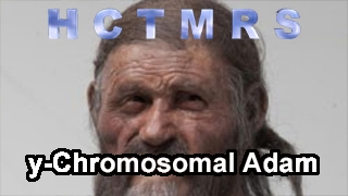How Creationism Taught Me Real Science 57 y-Chromosomal Adam