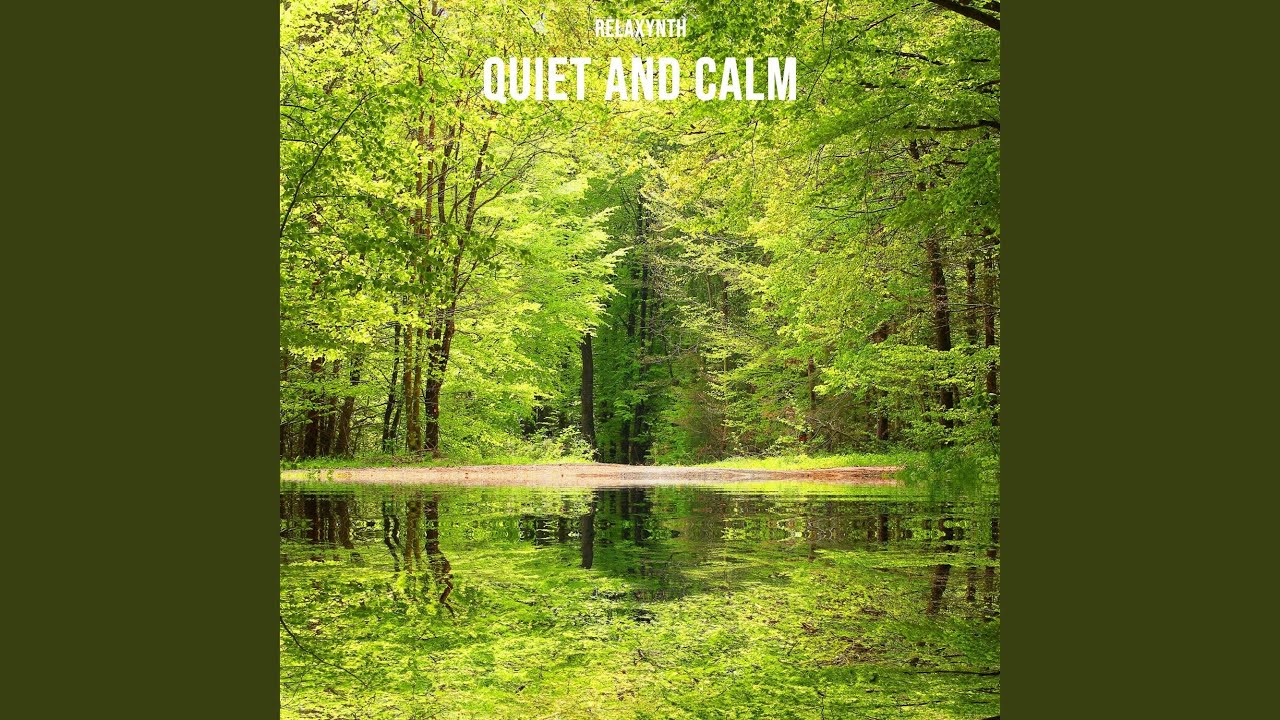 Quiet and Calm, Pt. 1