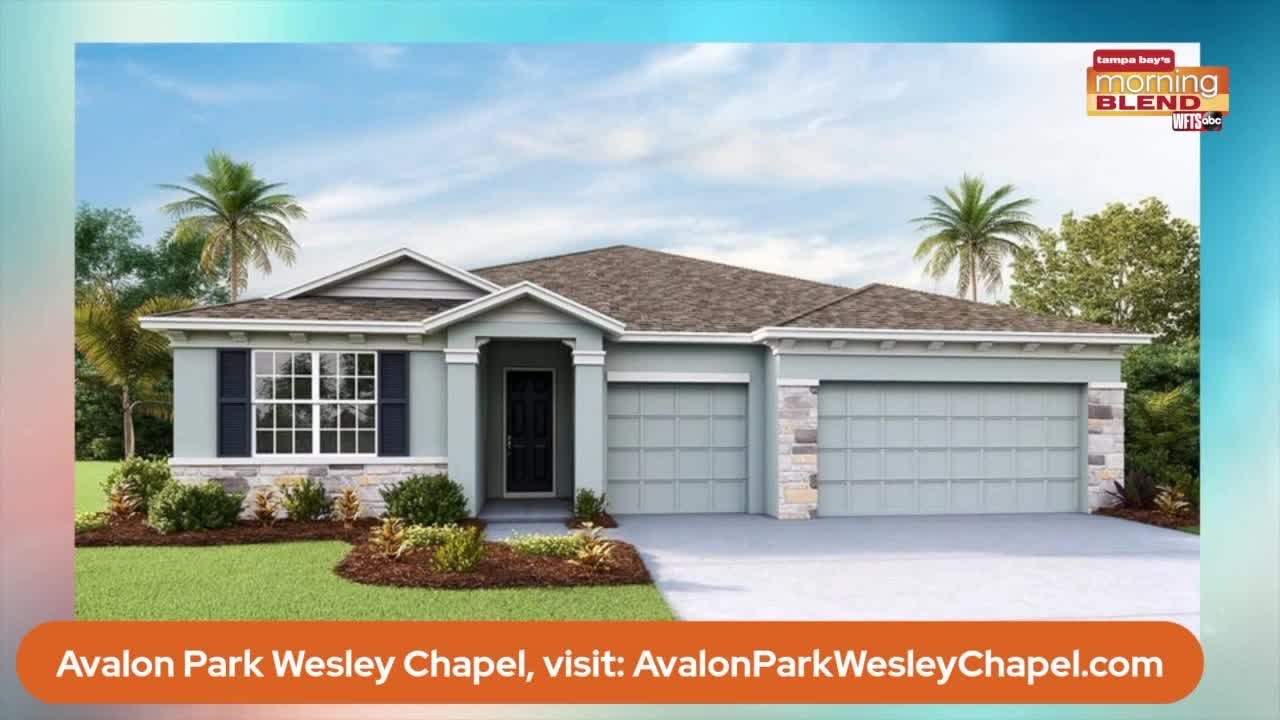 Avalon Park Wesley Chapel Morning Blend Youtube