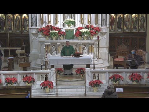 4th Sunday Ordinary Time - Homily (Fr. Smith)
