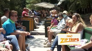 Zip Trips: South Bay