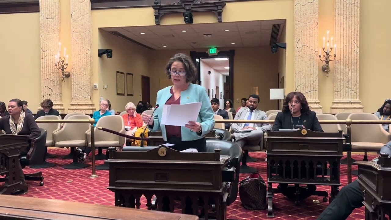 I am deeply disturbed by ICE in Baltimore and across the nation