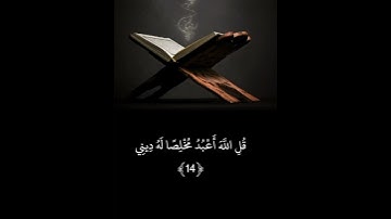 القارئ محمد طه الجنيد || سورة الزُمَرِ